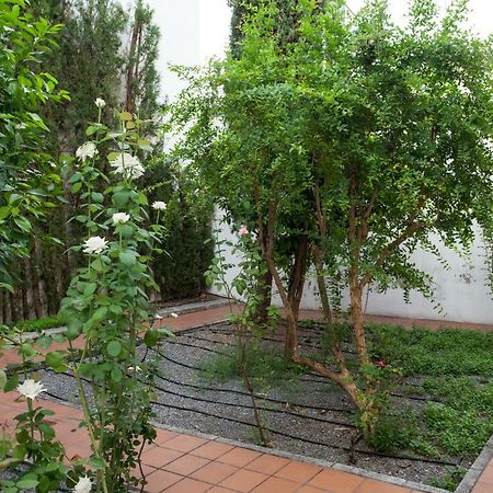 Apartamento De Lujo En Antiguo Convento 格拉纳达 外观 照片